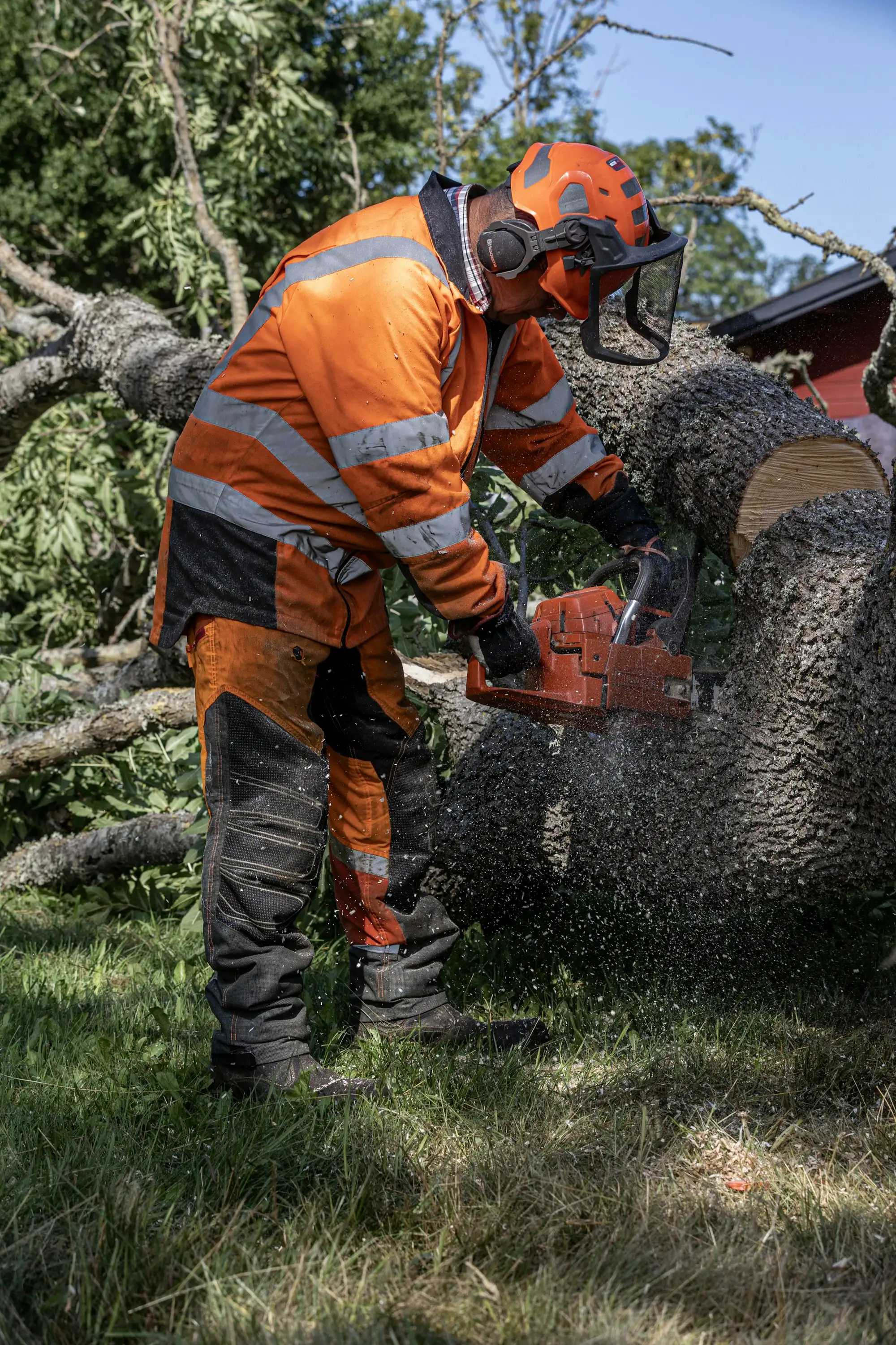 Tree service truck and wood chipper working on a suburban Australian street